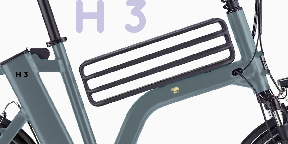 H3
