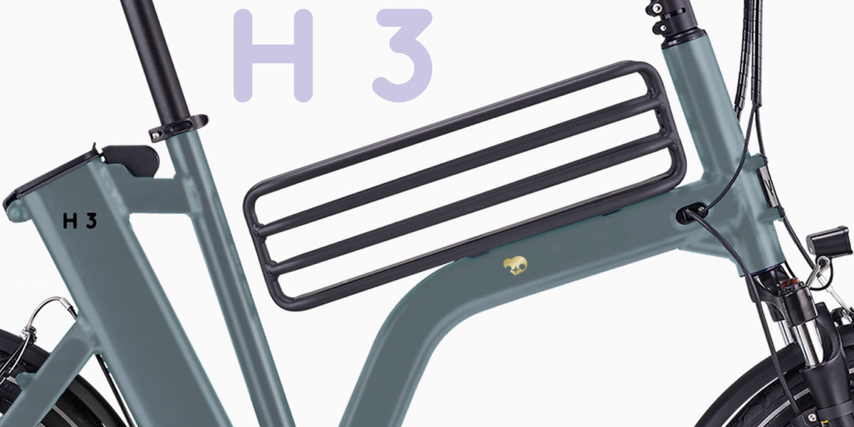 H3
